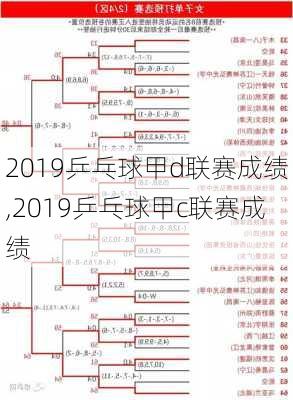 2019乒乓球甲d联赛成绩,2019乒乓球甲c联赛成绩