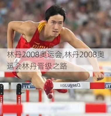 林丹2008奥运会,林丹2008奥运会林丹晋级之路