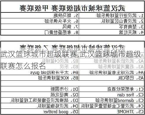 武汉篮球城市超级联赛,武汉篮球城市超级联赛怎么报名