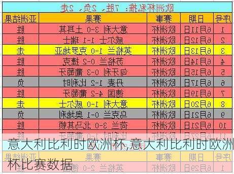 意大利比利时欧洲杯,意大利比利时欧洲杯比赛数据