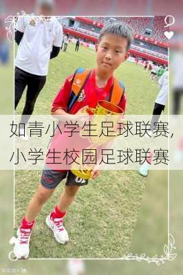 如青小学生足球联赛,小学生校园足球联赛