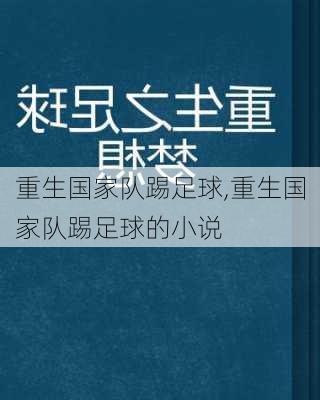 重生国家队踢足球,重生国家队踢足球的小说