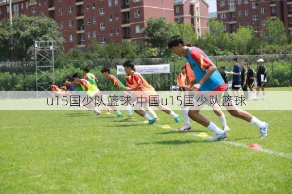 u15国少队篮球,中国u15国少队篮球