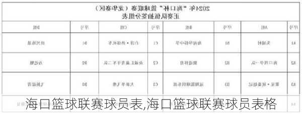 海口篮球联赛球员表,海口篮球联赛球员表格