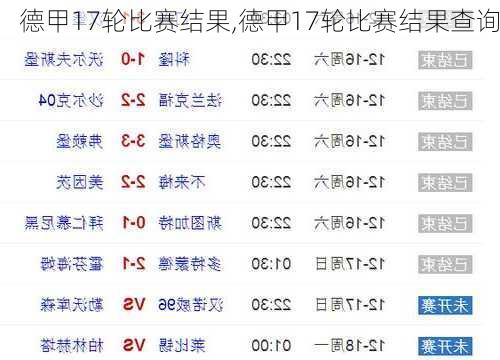 德甲17轮比赛结果,德甲17轮比赛结果查询