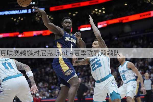 夏联赛鹈鹕对尼克斯,nba夏季联赛鹈鹕队