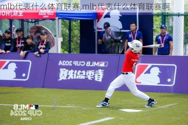 mlb代表什么体育联赛,mlb代表什么体育联赛啊