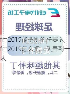 fm2019能把别的联赛队,fm2019怎么把二队弄到一队