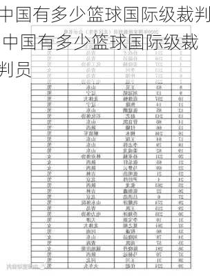 中国有多少篮球国际级裁判,中国有多少篮球国际级裁判员