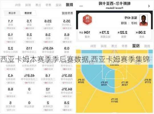 西亚卡姆本赛季季后赛数据,西亚卡姆赛季集锦