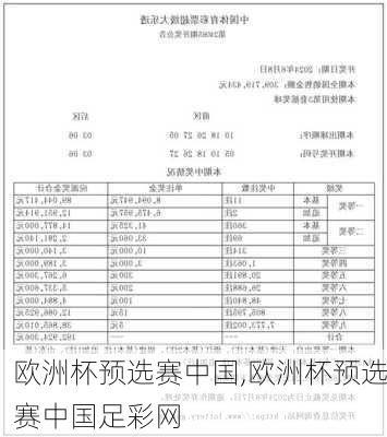 欧洲杯预选赛中国,欧洲杯预选赛中国足彩网