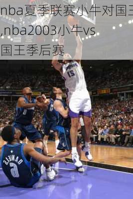 nba夏季联赛小牛对国王,nba2003小牛vs国王季后赛