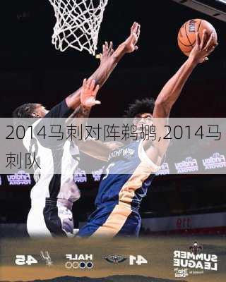 2014马刺对阵鹈鹕,2014马刺队