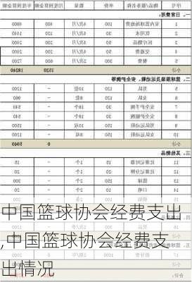 中国篮球协会经费支出,中国篮球协会经费支出情况