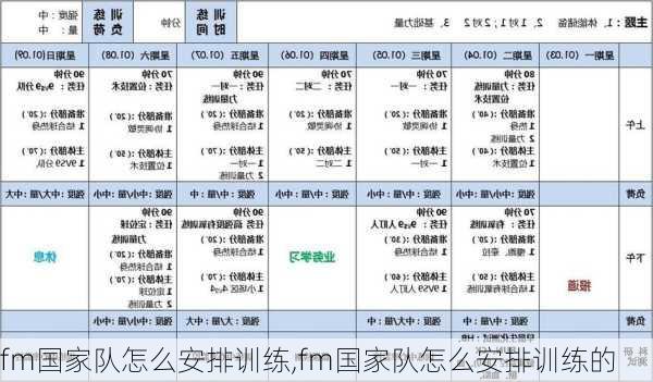 fm国家队怎么安排训练,fm国家队怎么安排训练的