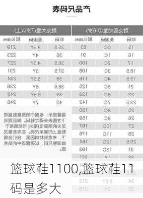 篮球鞋1100,篮球鞋11码是多大