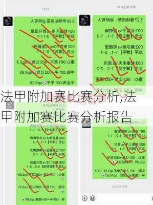 法甲附加赛比赛分析,法甲附加赛比赛分析报告