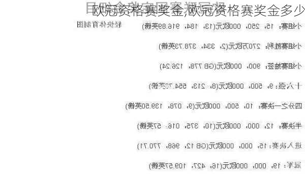 欧冠资格赛奖金,欧冠资格赛奖金多少