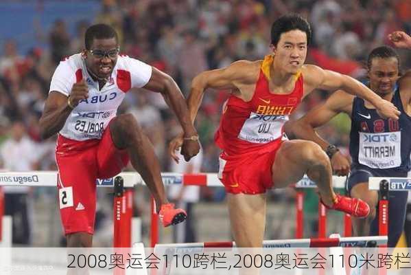 2008奥运会110跨栏,2008奥运会110米跨栏