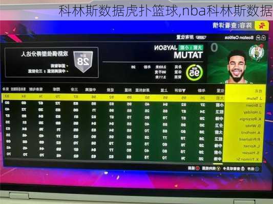 科林斯数据虎扑篮球,nba科林斯数据