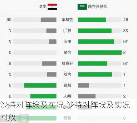 沙特对阵埃及实况,沙特对阵埃及实况回放