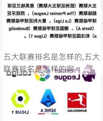 五大联赛排名是怎样的,五大联赛排名是怎样的啊