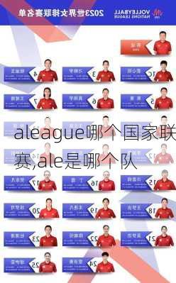 aleague哪个国家联赛,ale是哪个队