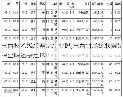 巴西州乙级联赛是职业吗,巴西州乙级联赛是职业吗还是足球