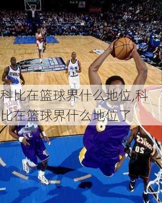 科比在篮球界什么地位,科比在篮球界什么地位了