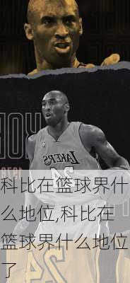 科比在篮球界什么地位,科比在篮球界什么地位了