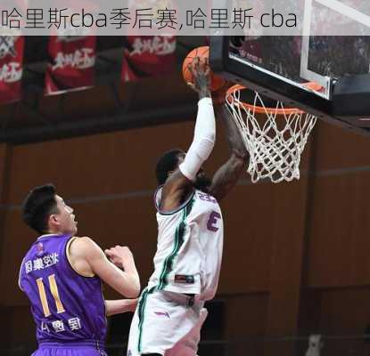 哈里斯cba季后赛,哈里斯 cba