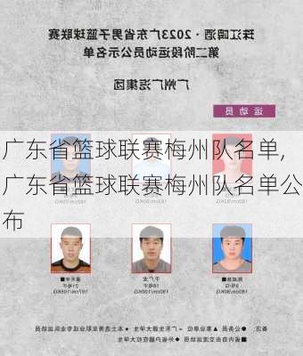 广东省篮球联赛梅州队名单,广东省篮球联赛梅州队名单公布