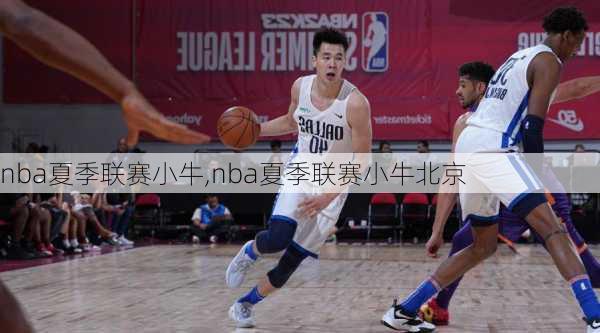 nba夏季联赛小牛,nba夏季联赛小牛北京