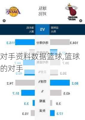 对手资料数据篮球,篮球的对手