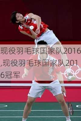 现役羽毛球国家队2016,现役羽毛球国家队2016冠军