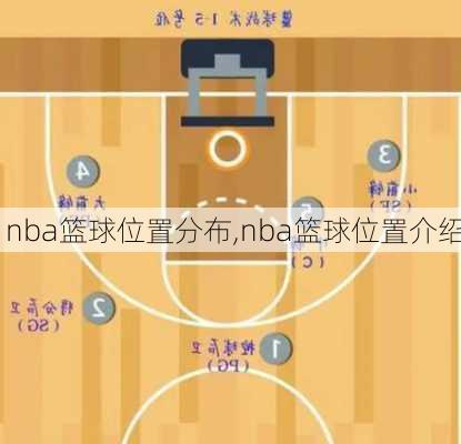 nba篮球位置分布,nba篮球位置介绍