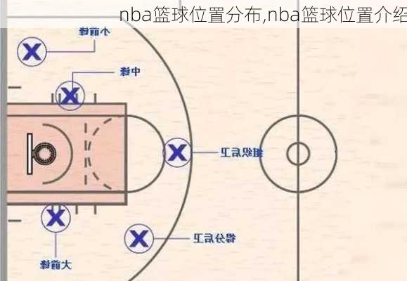 nba篮球位置分布,nba篮球位置介绍