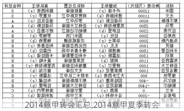 2014意甲转会汇总,2014意甲夏季转会