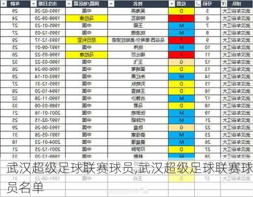 武汉超级足球联赛球员,武汉超级足球联赛球员名单