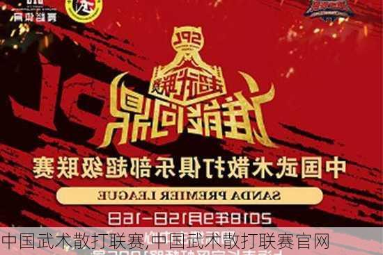 中国武术散打联赛,中国武术散打联赛官网