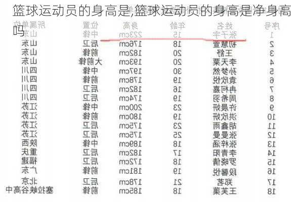 篮球运动员的身高是,篮球运动员的身高是净身高吗