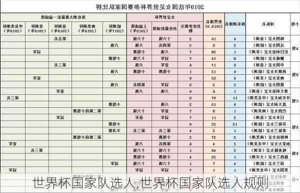 世界杯国家队选人,世界杯国家队选人规则