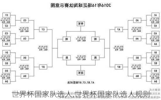 世界杯国家队选人,世界杯国家队选人规则