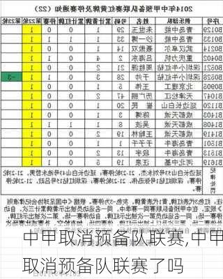 中甲取消预备队联赛,中甲取消预备队联赛了吗