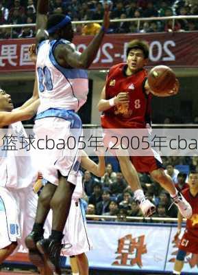 篮球cba05年,2005年cba