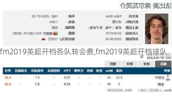 fm2019英超开档各队转会费,fm2019英超开档球队