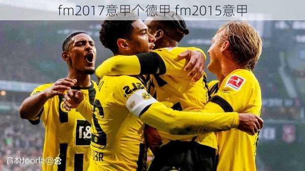 fm2017意甲个德甲,fm2015意甲