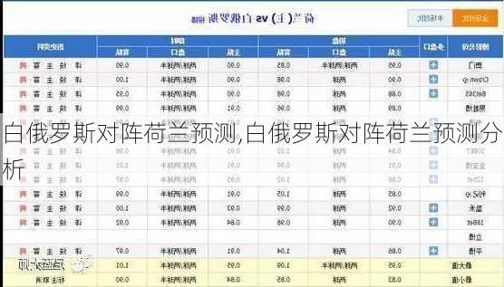 白俄罗斯对阵荷兰预测,白俄罗斯对阵荷兰预测分析