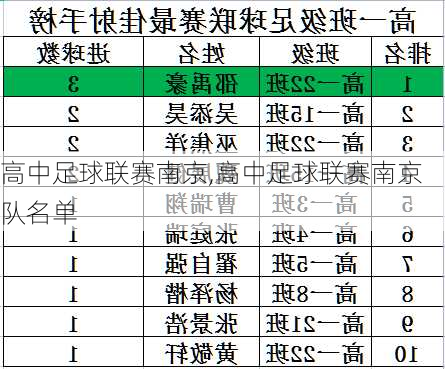 高中足球联赛南京,高中足球联赛南京队名单