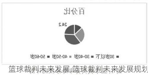 篮球裁判未来发展,篮球裁判未来发展规划